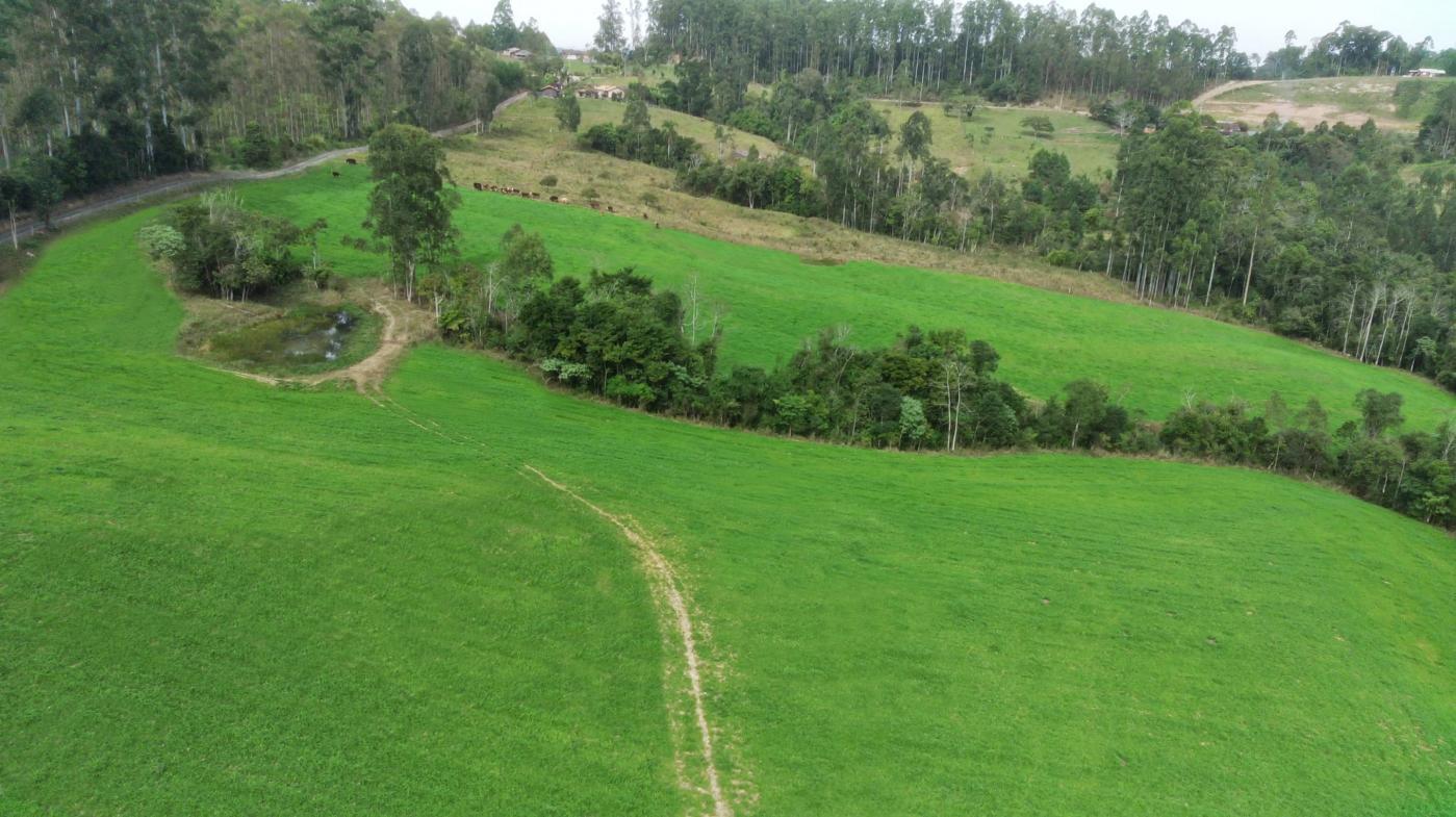Fazenda, 21 hectares - Foto 16