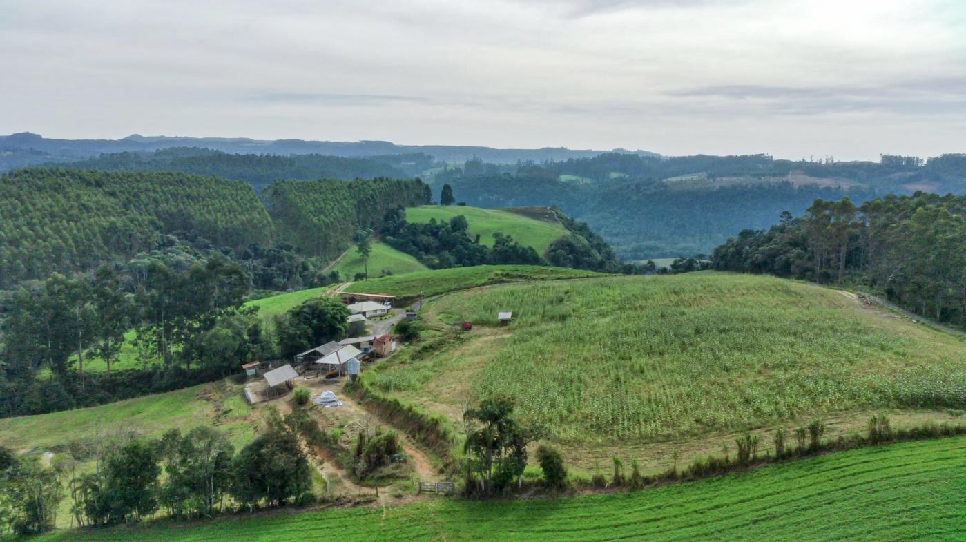 Fazenda, 21 hectares - Foto 36