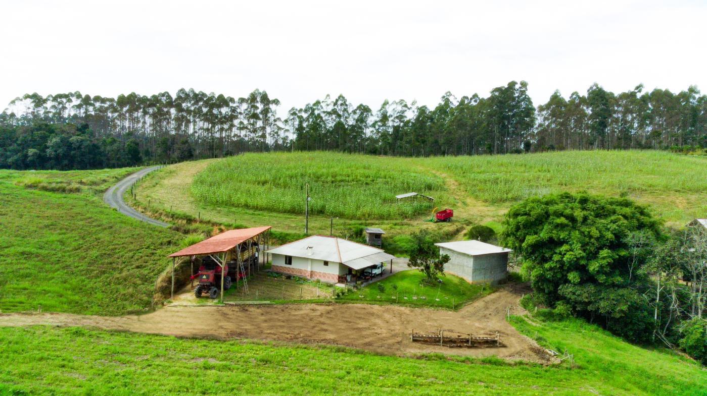 Fazenda, 21 hectares - Foto 14