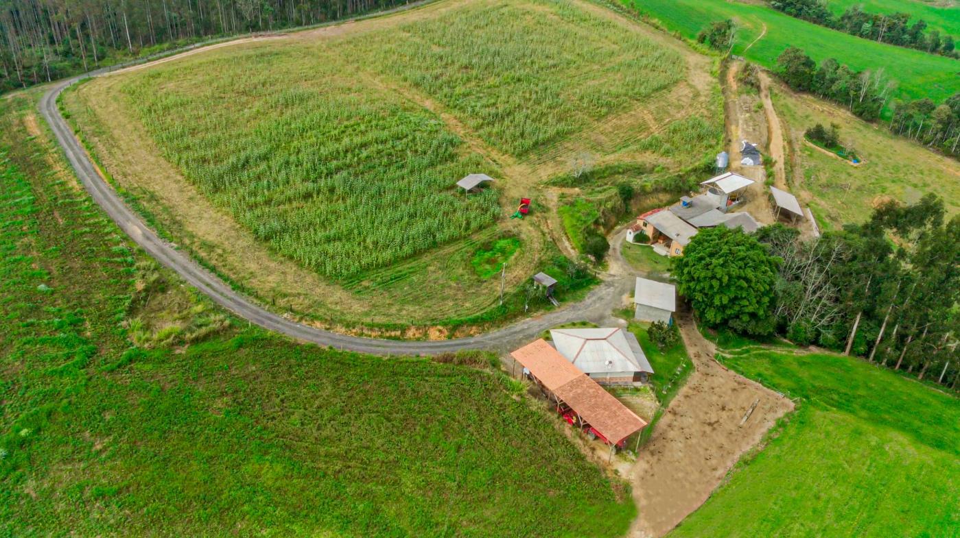 Fazenda, 21 hectares - Foto 41
