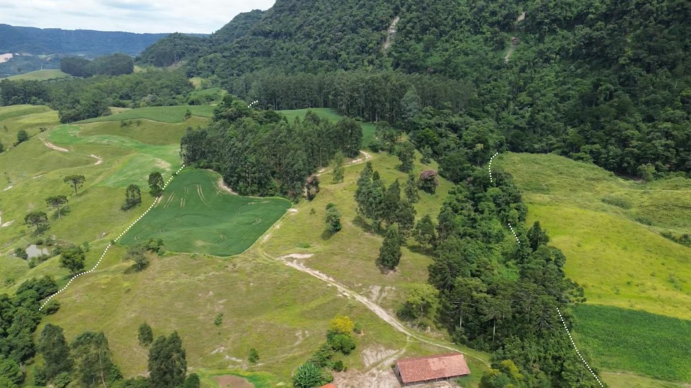 Fazenda, 36 hectares - Foto 34