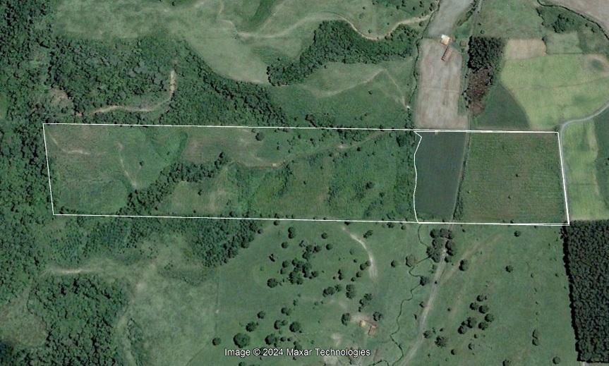 Fazenda, 10 hectares - Foto 12