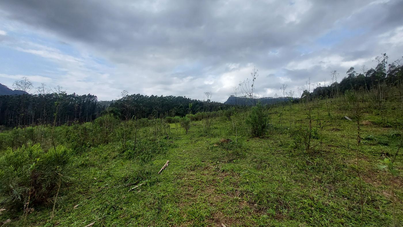 Fazenda, 10 hectares - Foto 15