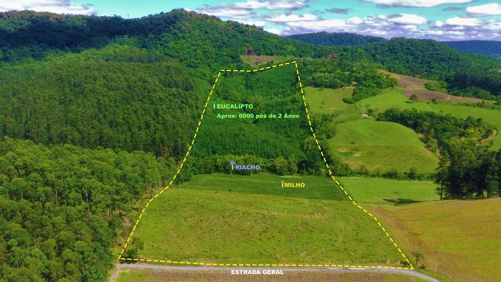Fazenda, 10 hectares - Foto 22