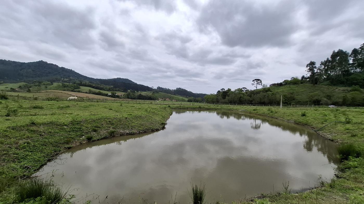 Chácara, 1 quarto, 10000 m² - Foto 9