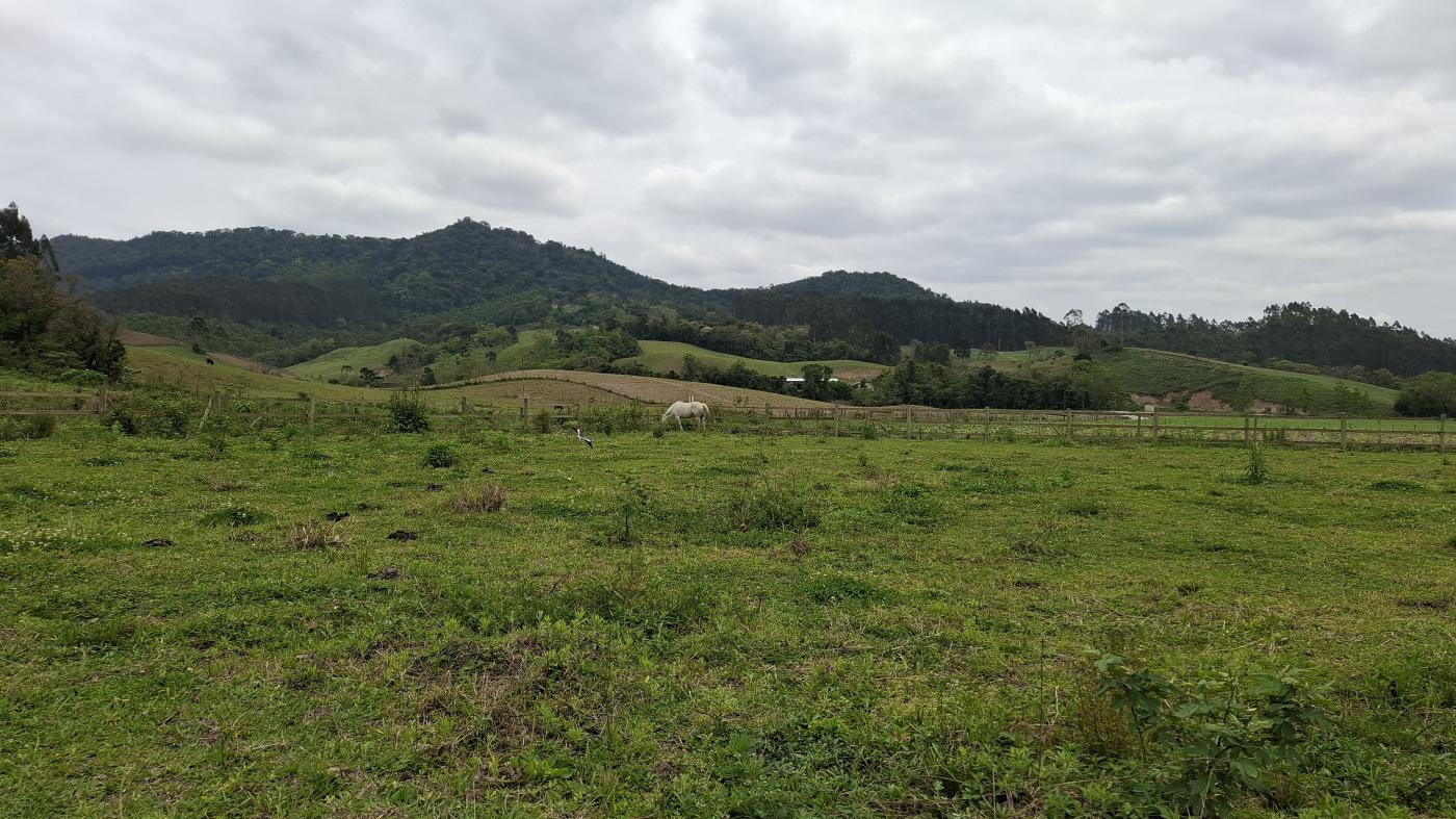 Chácara, 1 quarto, 10000 m² - Foto 12