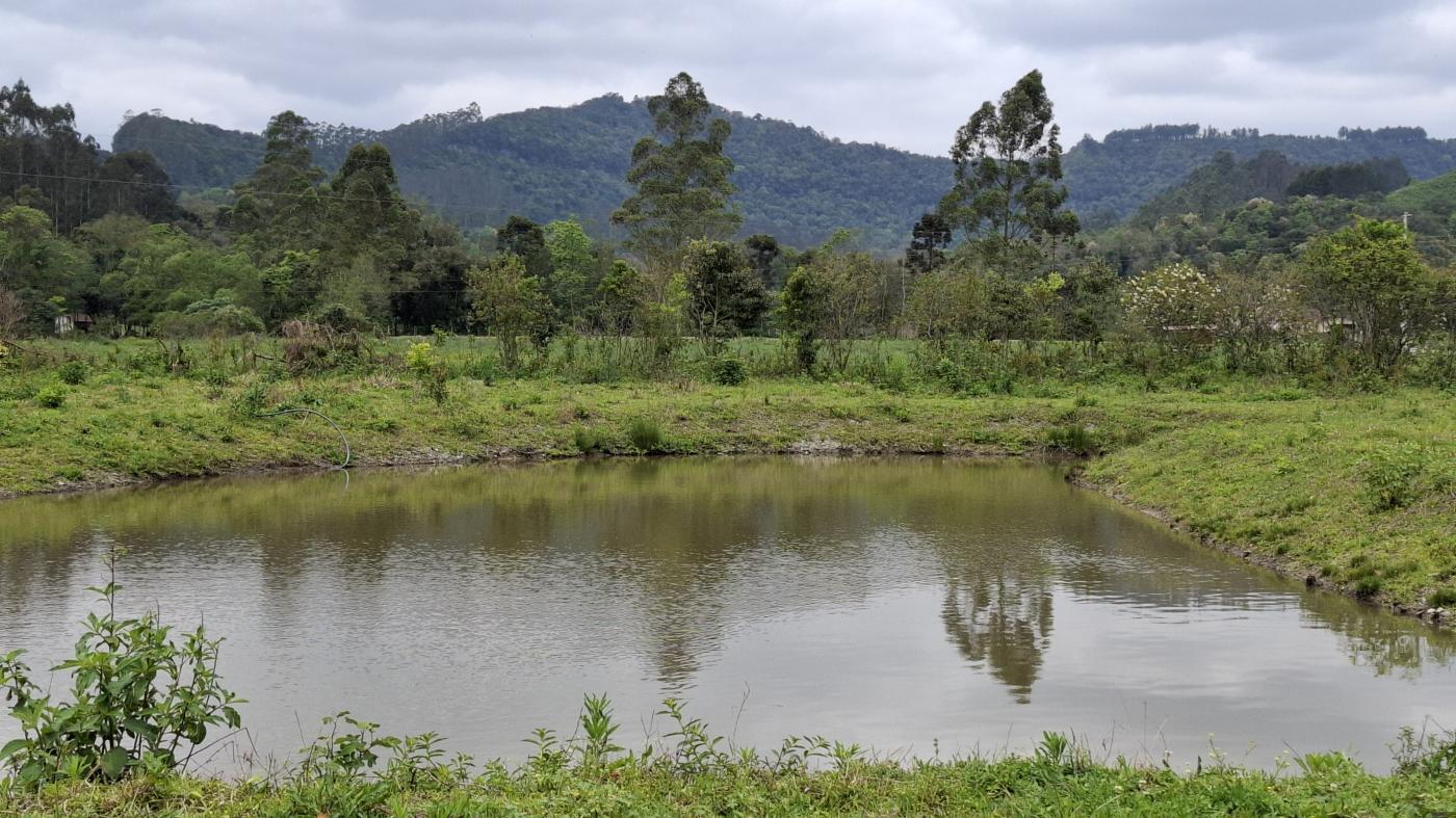 Chácara, 1 quarto, 10000 m² - Foto 17