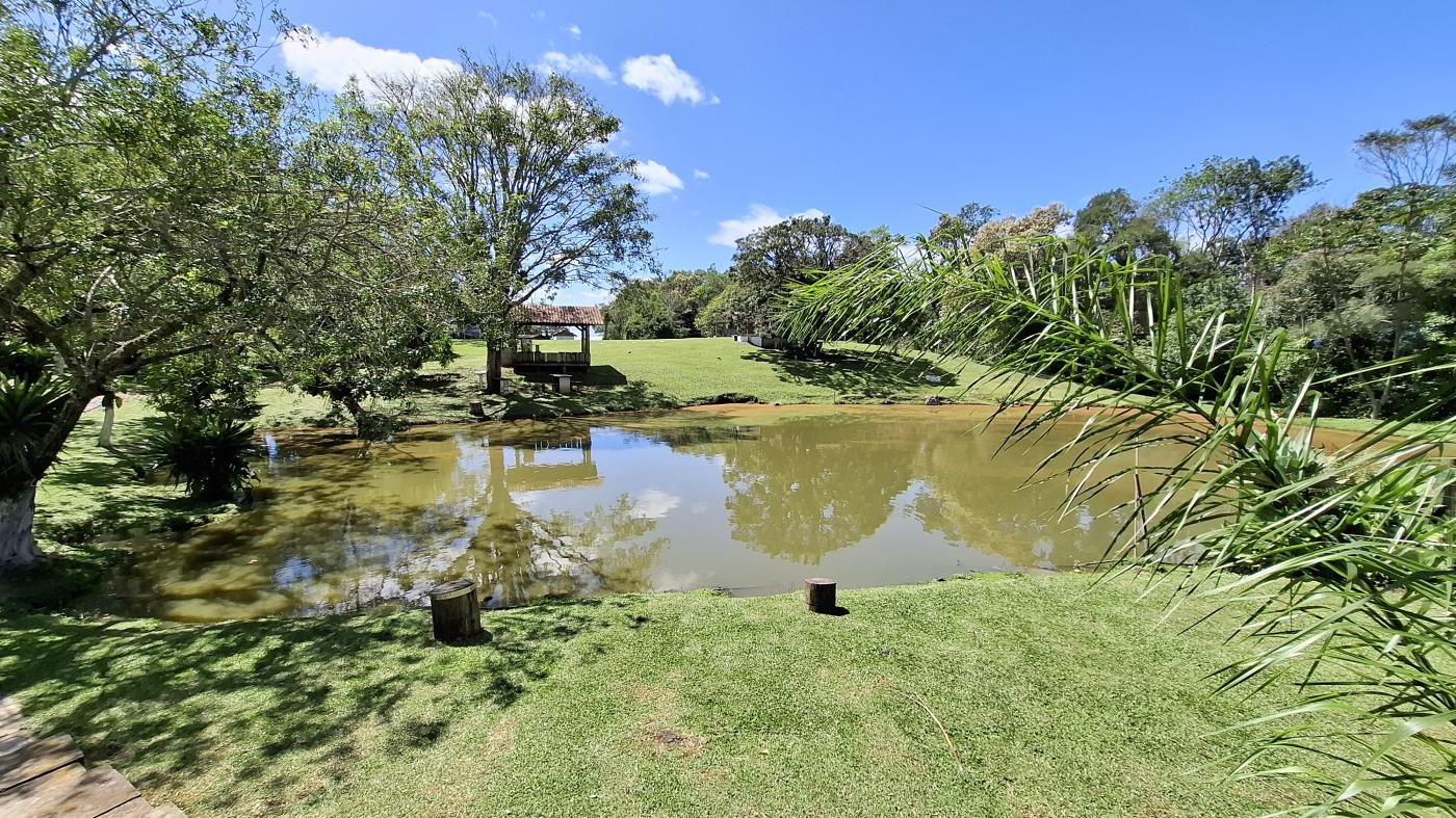 Fazenda, 20 hectares - Foto 11