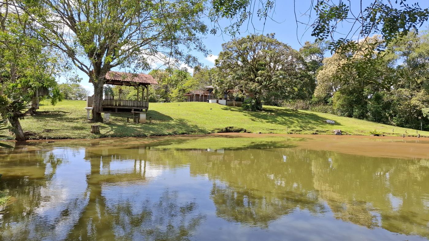 Fazenda, 20 hectares - Foto 14