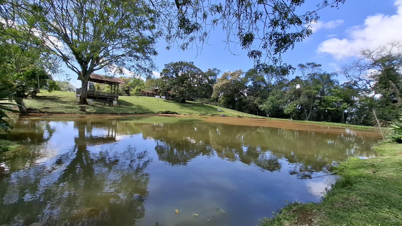 Fazenda, 20 hectares - Foto 15