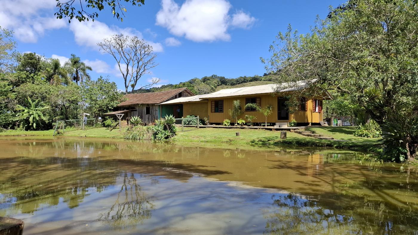 Fazenda, 20 hectares - Foto 19