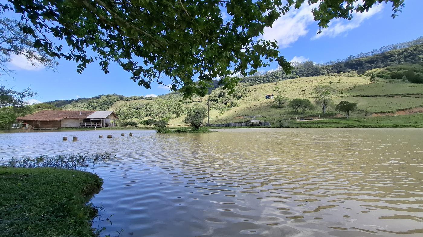 Fazenda, 20 hectares - Foto 36