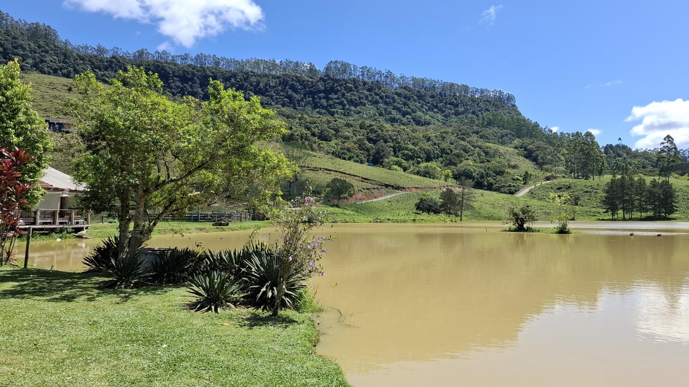 Fazenda, 20 hectares - Foto 37