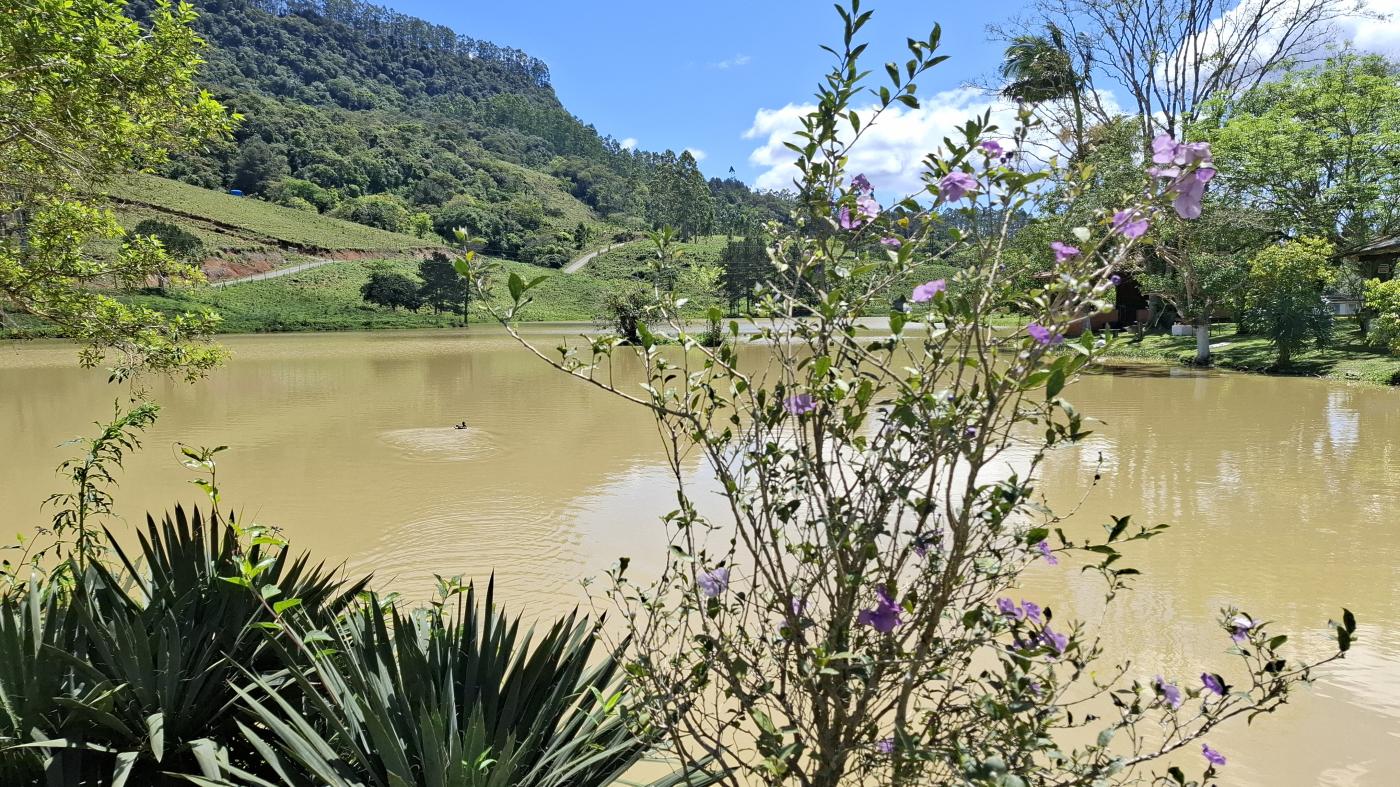 Fazenda, 20 hectares - Foto 38