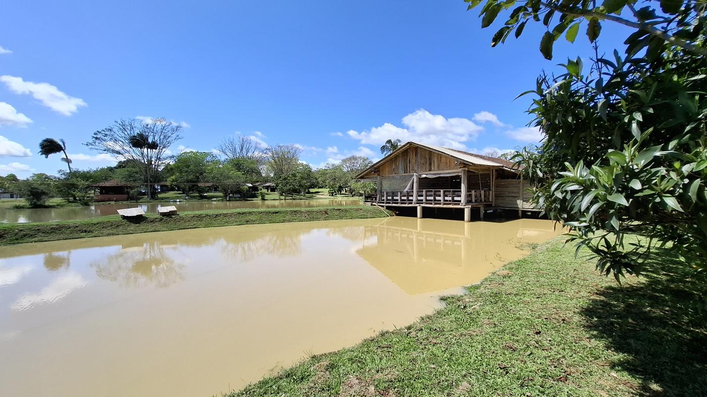 Fazenda, 20 hectares - Foto 39