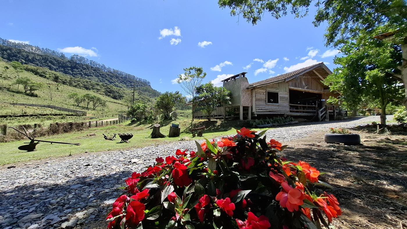 Fazenda, 20 hectares - Foto 41