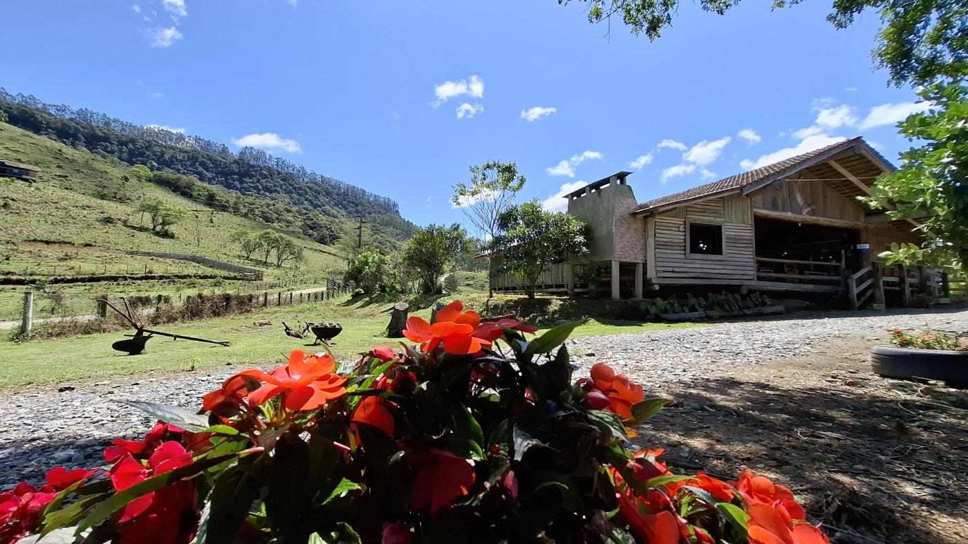 Fazenda, 20 hectares - Foto 42
