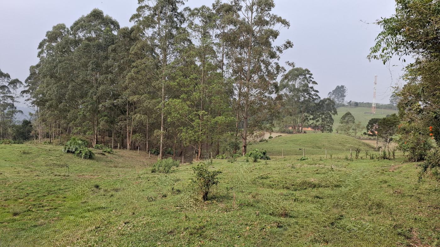 Sítio, 28 hectares - Foto 12