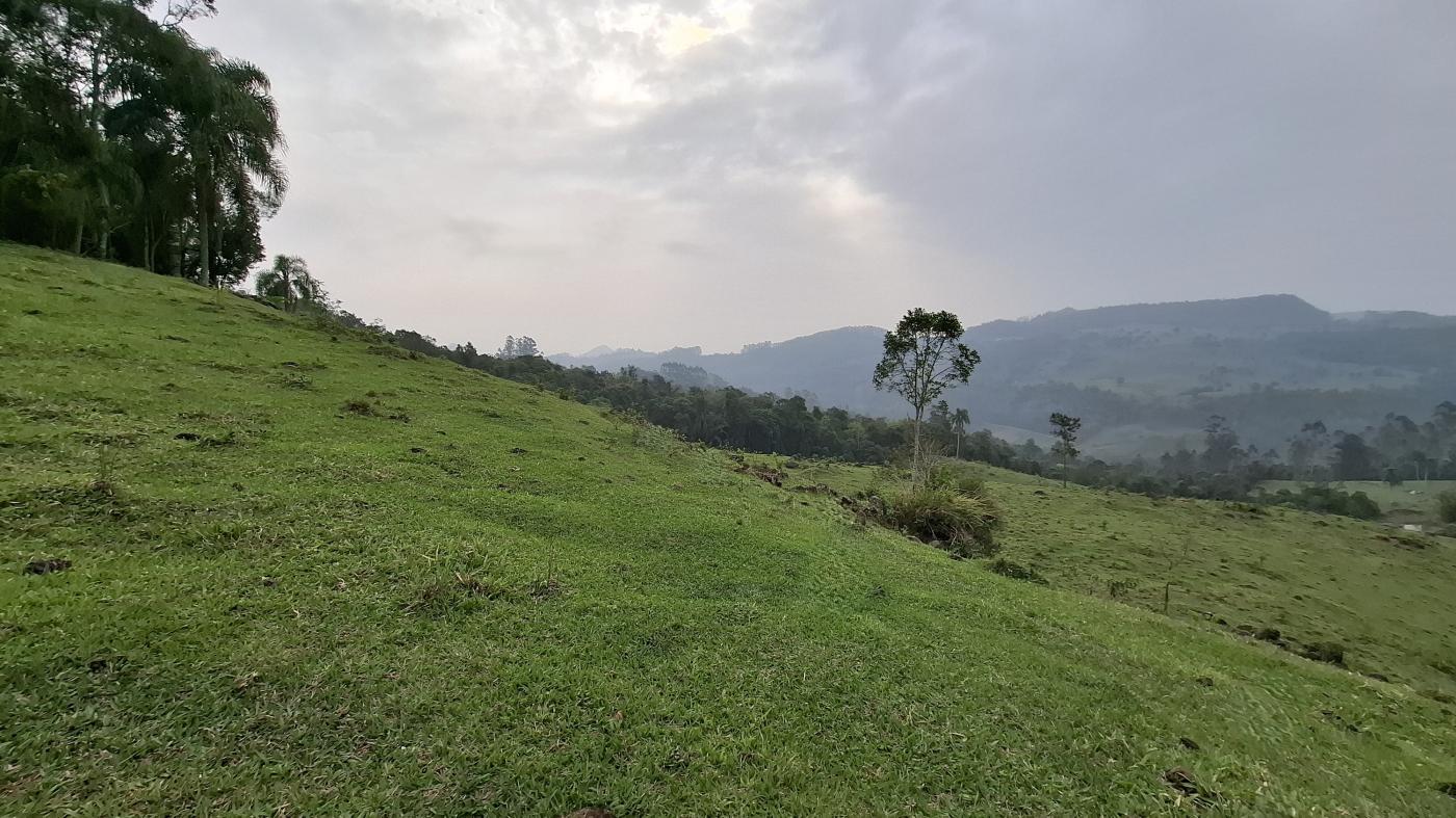 Sítio, 28 hectares - Foto 17