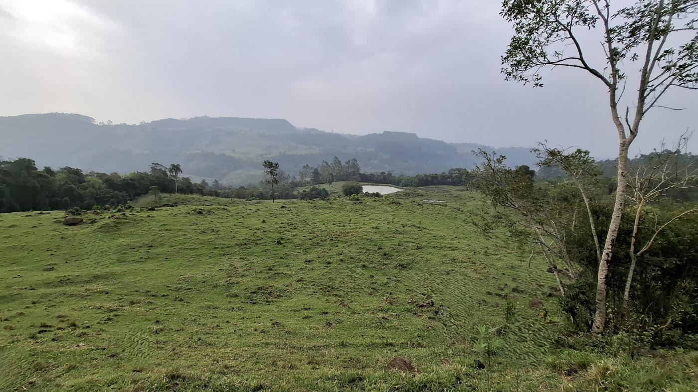 Sítio, 28 hectares - Foto 15