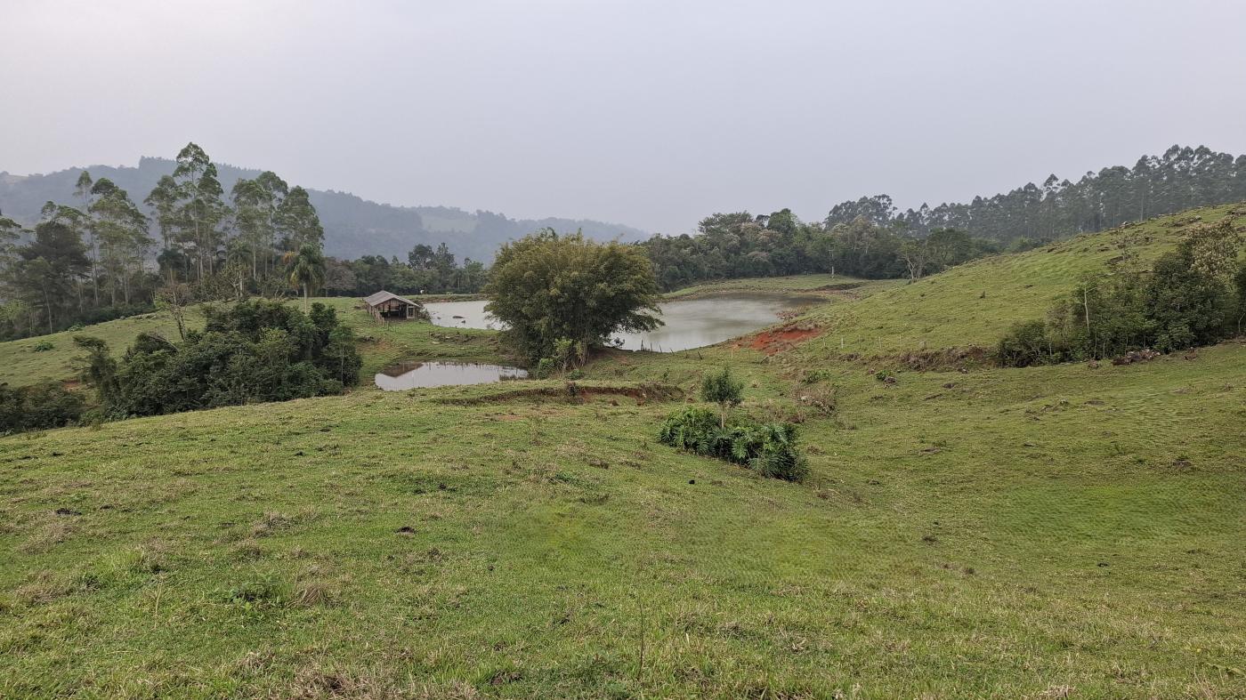 Sítio, 28 hectares - Foto 8