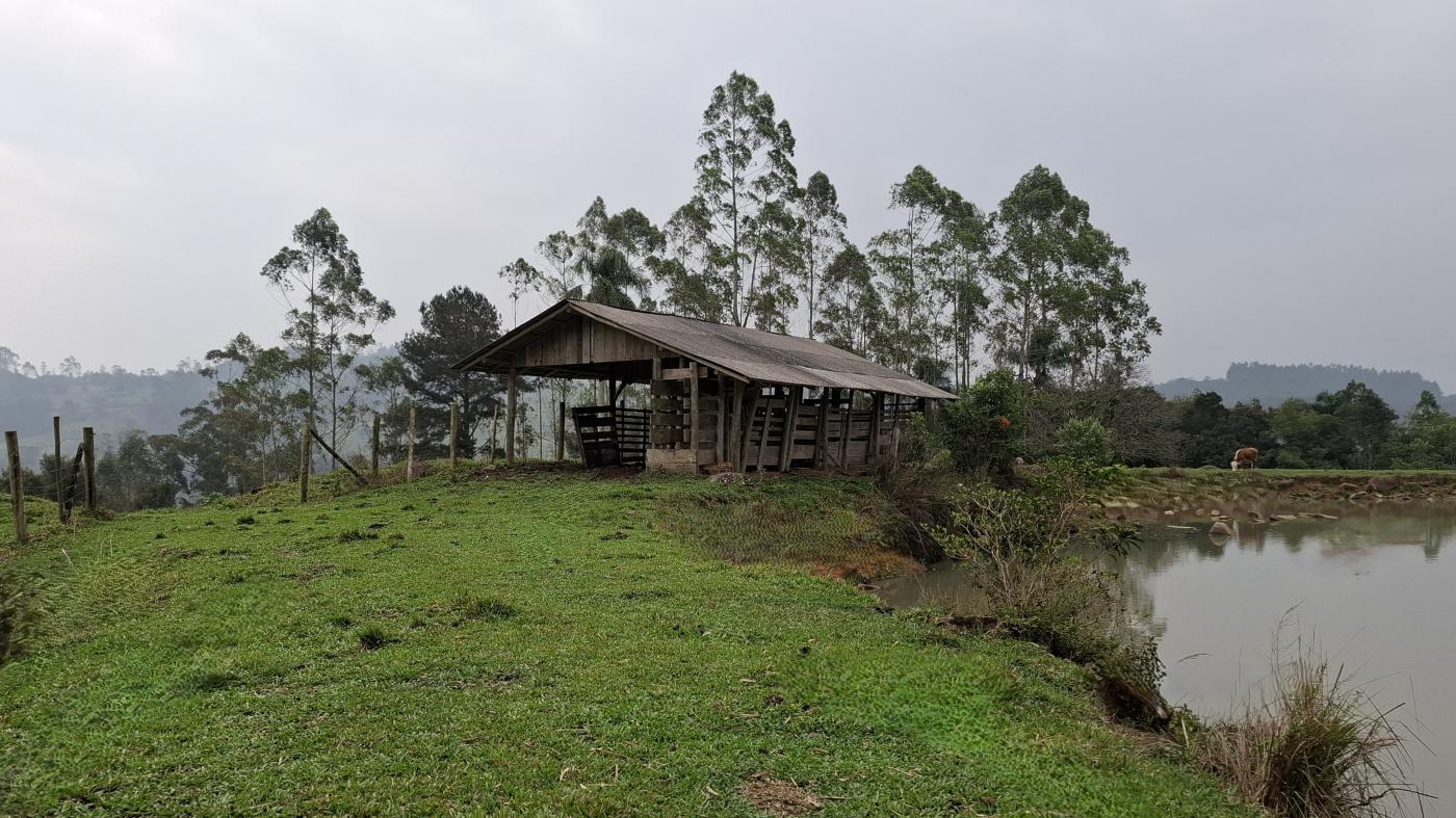 Sítio, 28 hectares - Foto 4