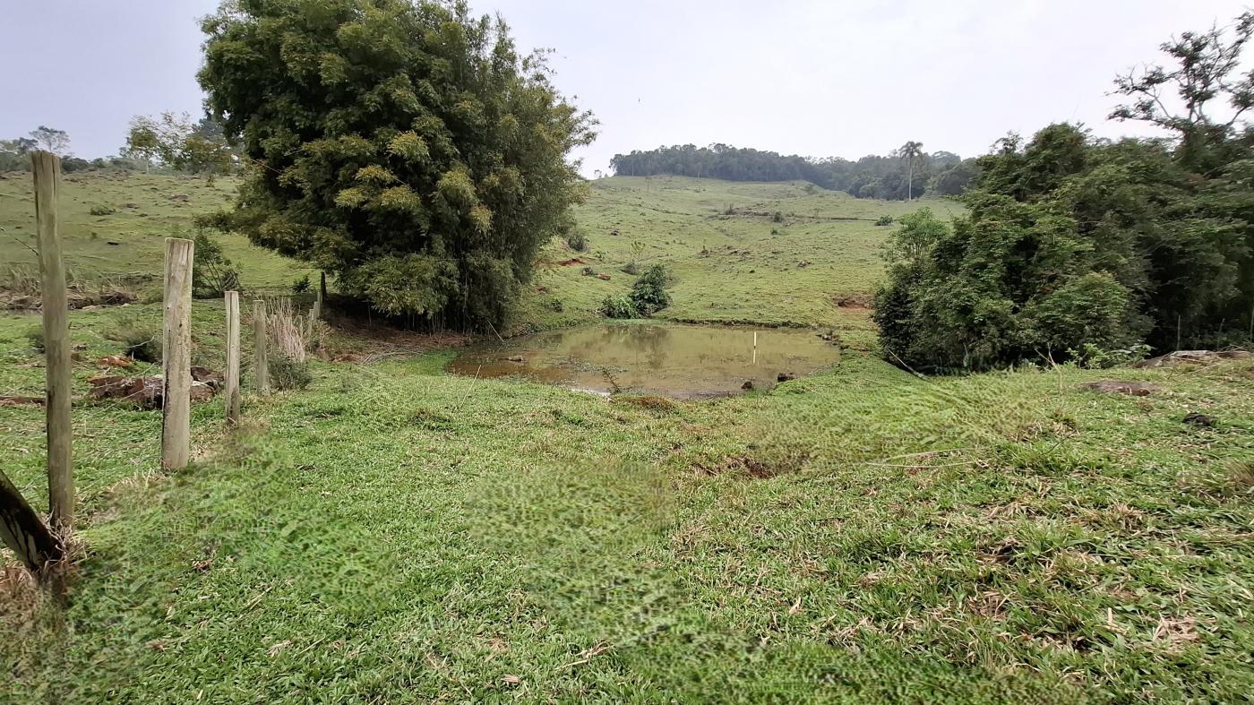Sítio, 28 hectares - Foto 30
