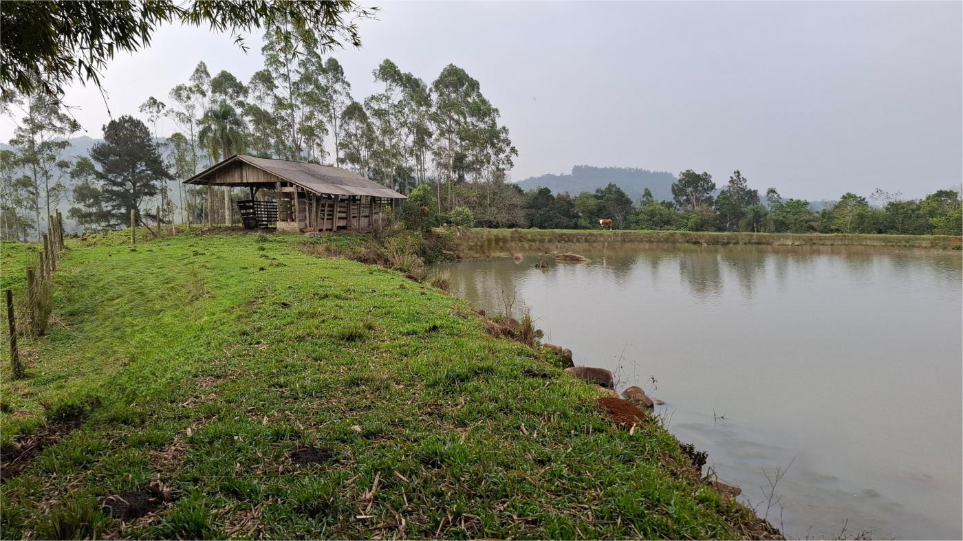 Sítio, 28 hectares - Foto 32