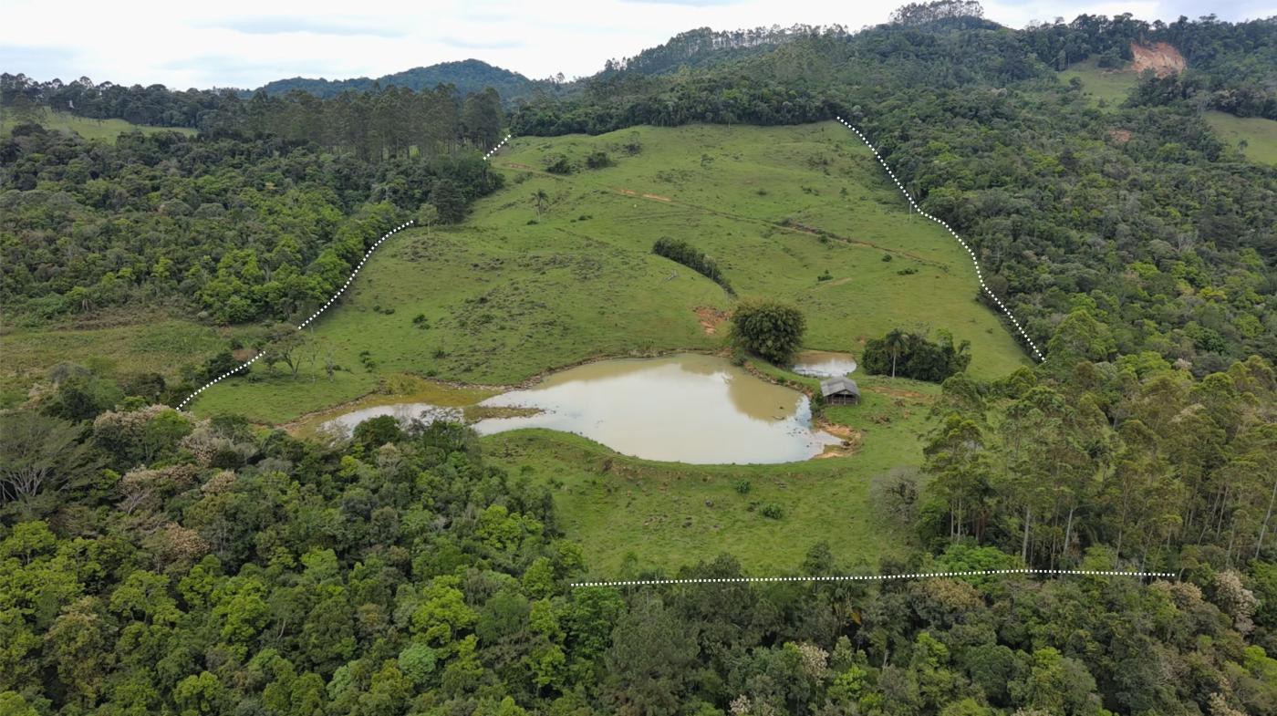 Sítio, 28 hectares - Foto 14