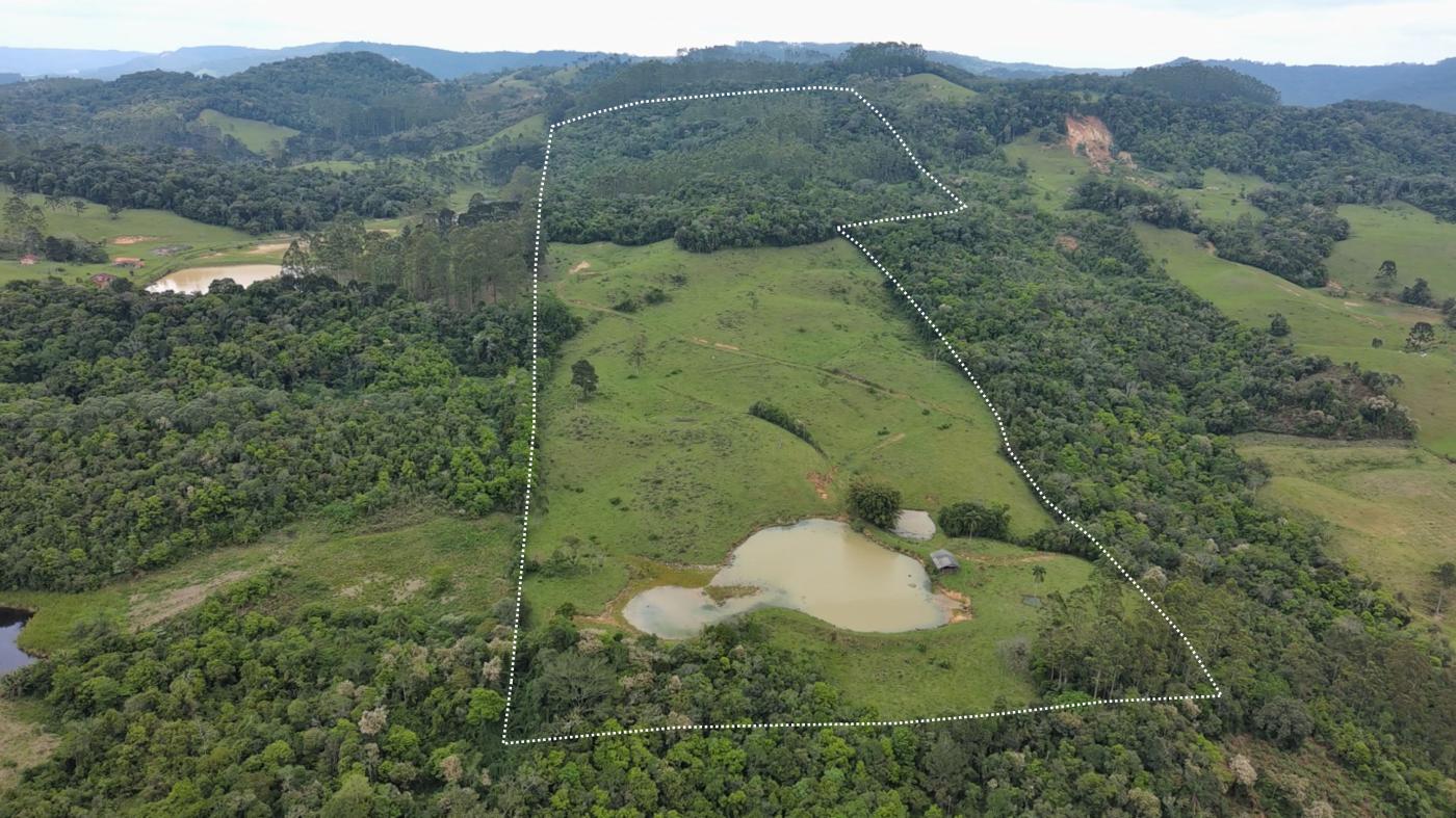 Sítio, 28 hectares - Foto 7