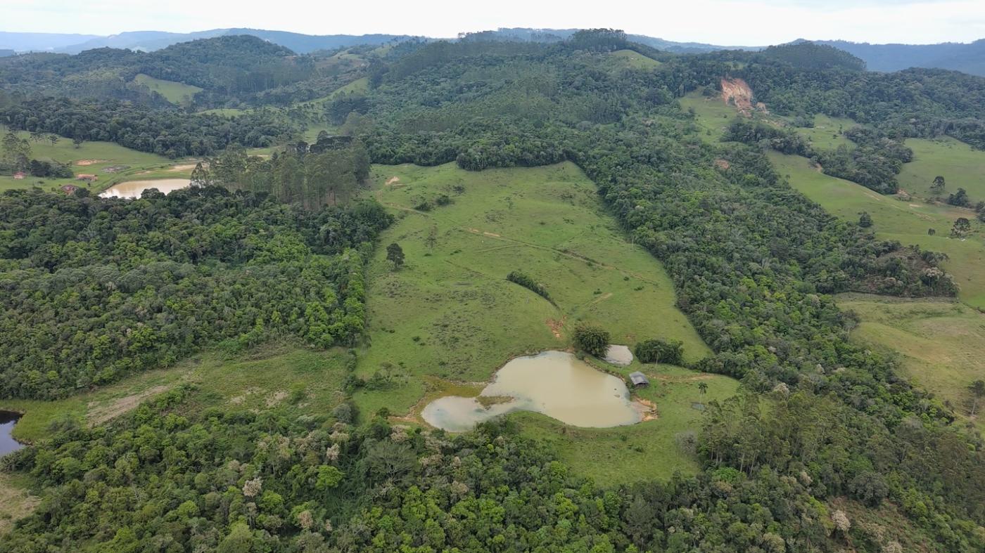 Sítio, 28 hectares - Foto 38