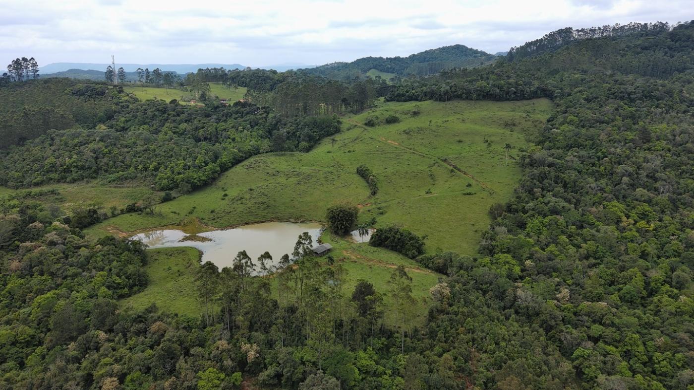 Sítio, 28 hectares - Foto 39