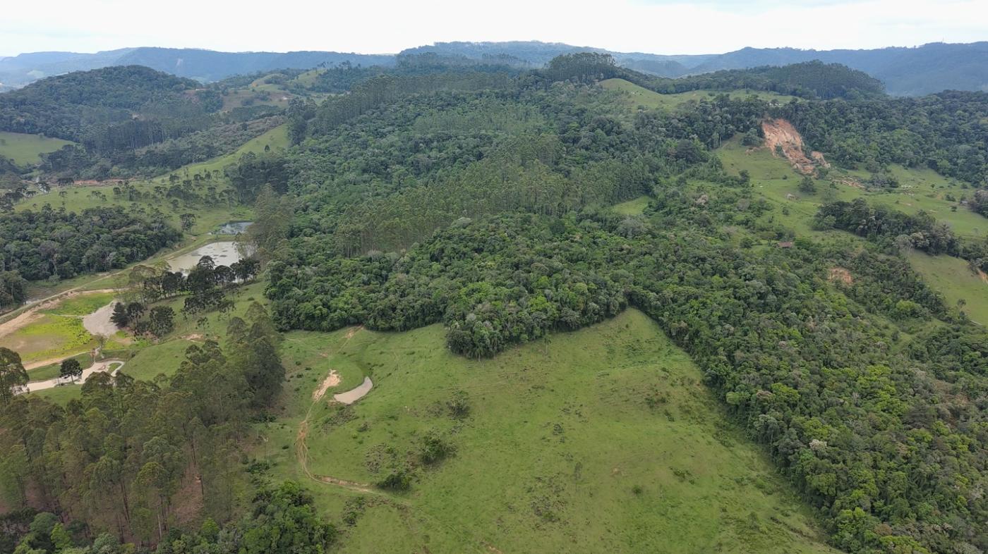 Sítio, 28 hectares - Foto 40