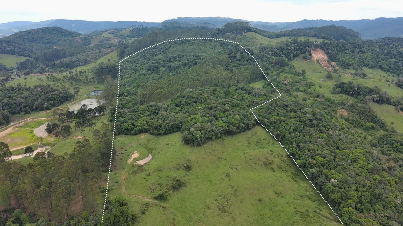 Sítio, 28 hectares - Foto 16