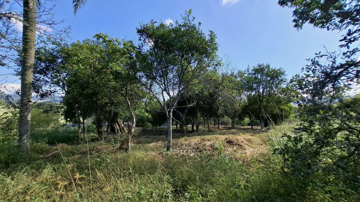 Fazenda, 10 hectares - Foto 42