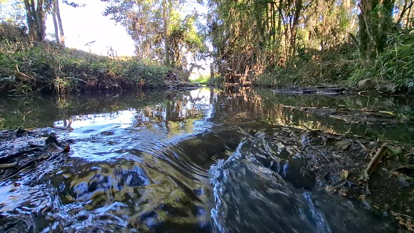 Fazenda, 10 hectares - Foto 44