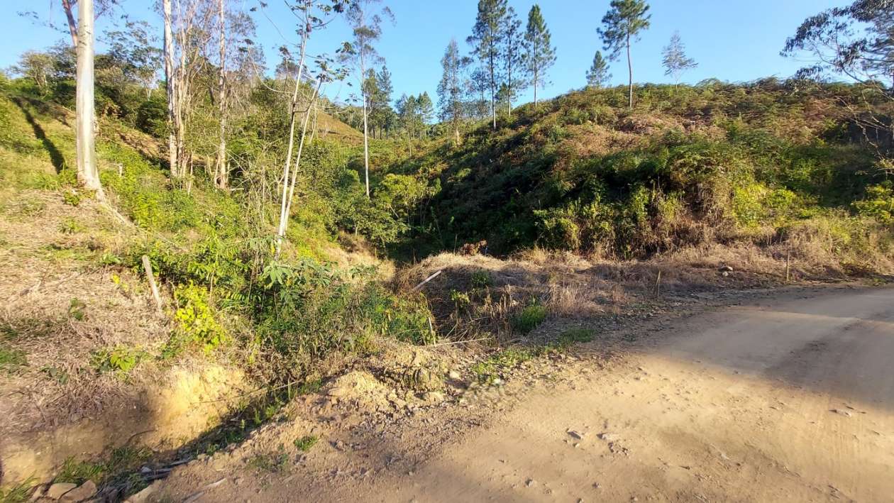 Sítio, 13 hectares - Foto 5