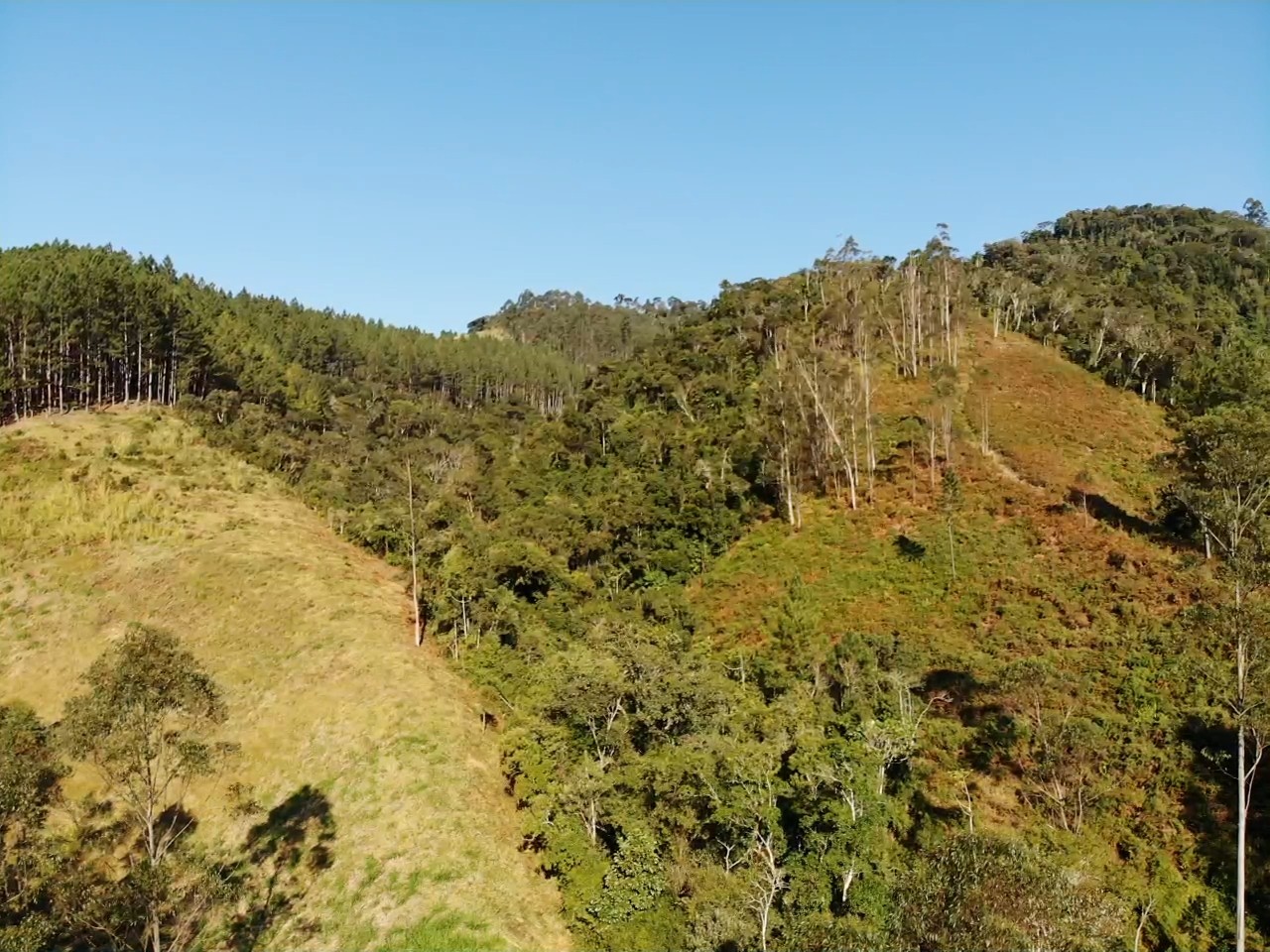 Sítio, 13 hectares - Foto 14