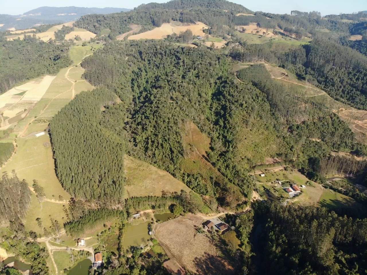 Sítio, 13 hectares - Foto 13