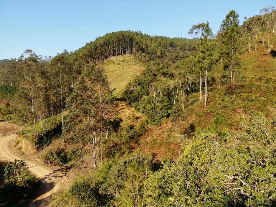 Sítio, 13 hectares - Foto 16