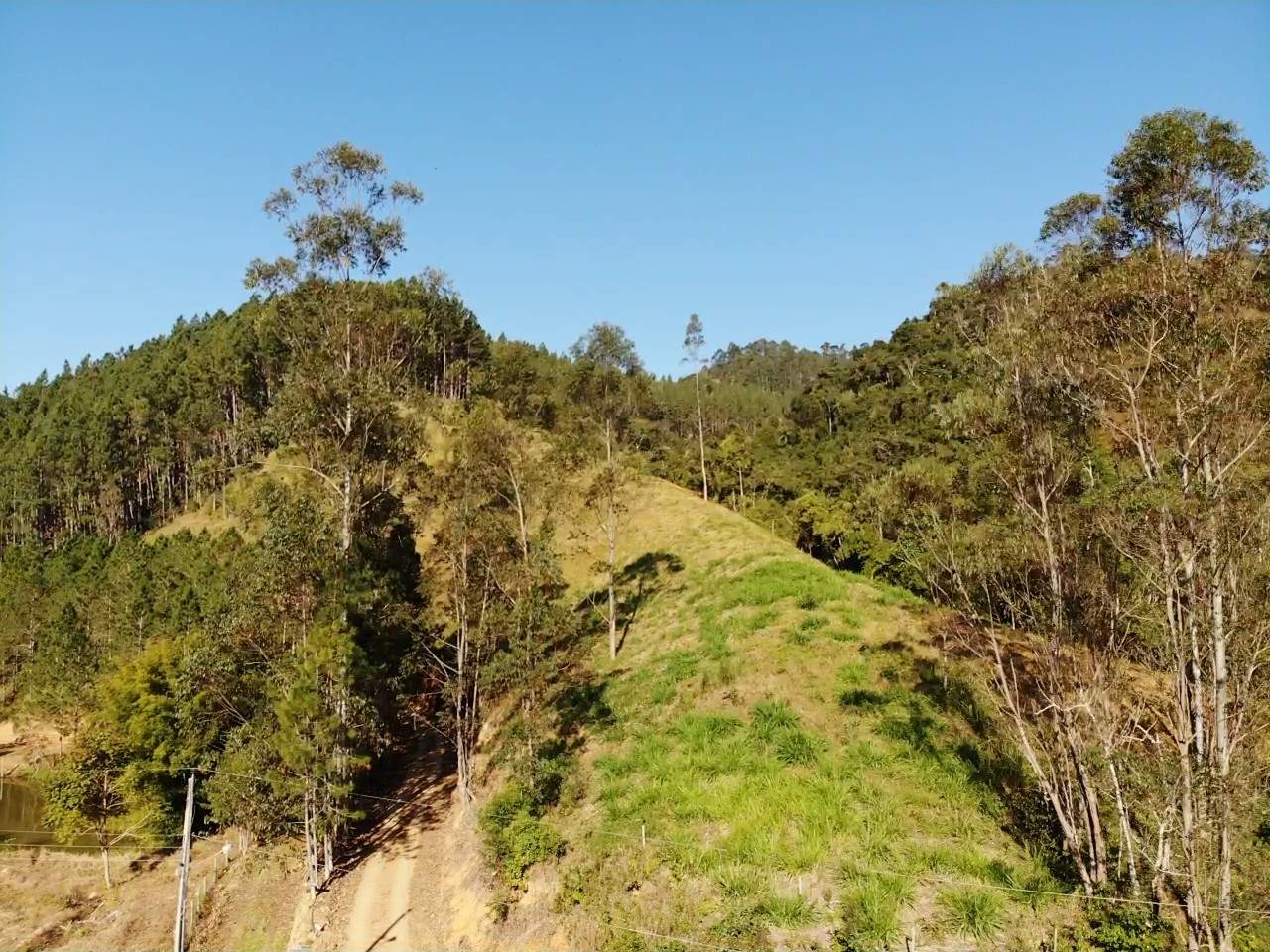 Sítio, 13 hectares - Foto 17