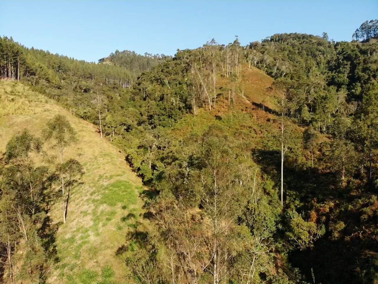 Sítio, 13 hectares - Foto 18