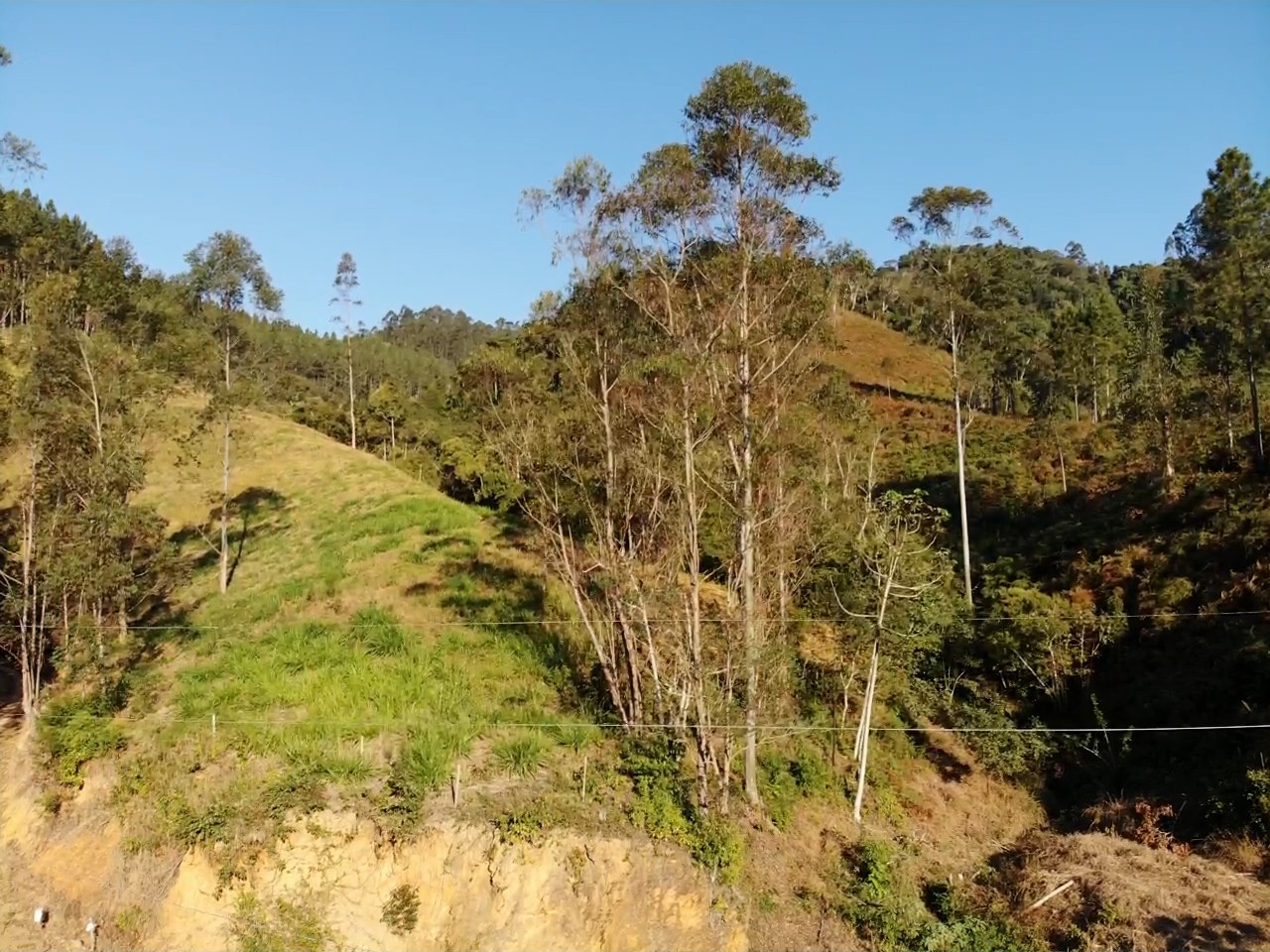 Sítio, 13 hectares - Foto 7