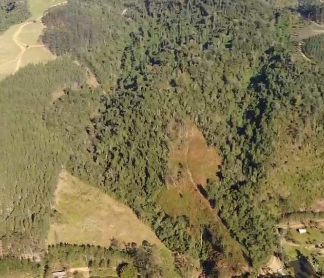 Sítio, 13 hectares - Foto 24