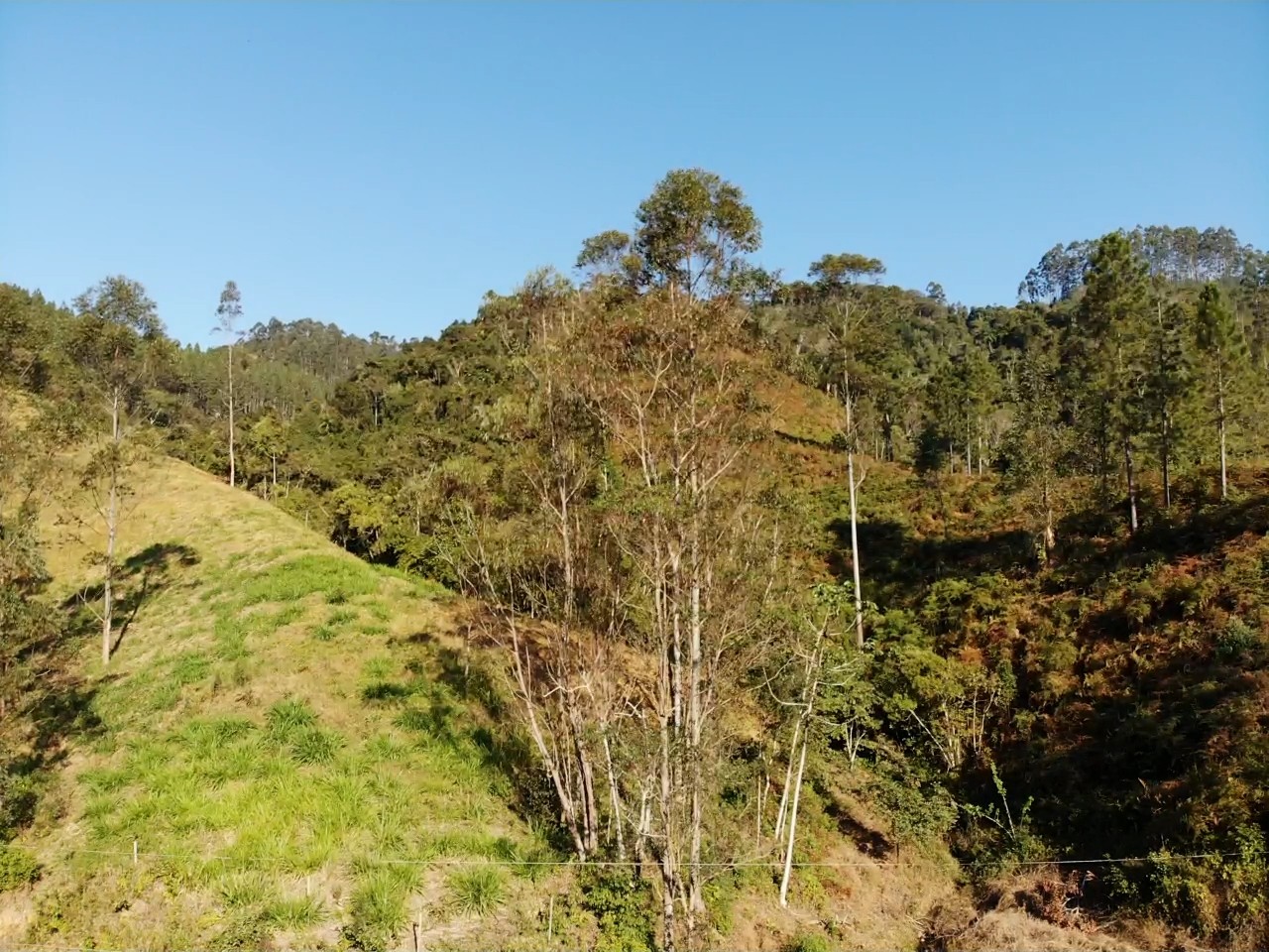 Sítio, 13 hectares - Foto 19