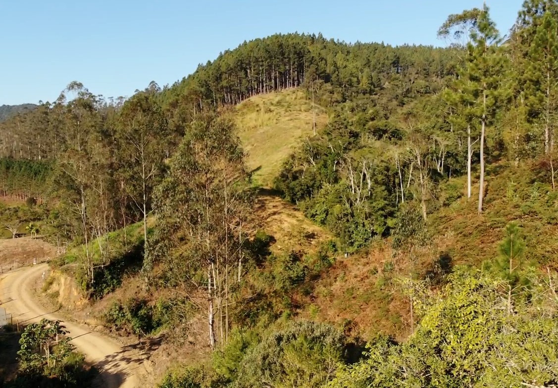 Sítio, 13 hectares - Foto 21