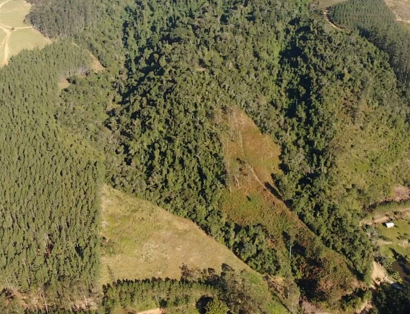 Sítio, 13 hectares - Foto 25