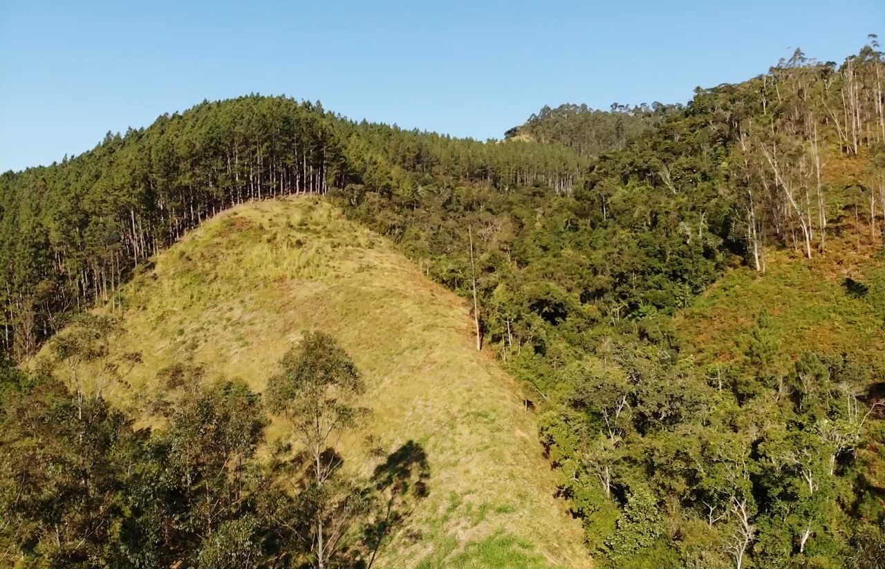 Sítio, 13 hectares - Foto 22