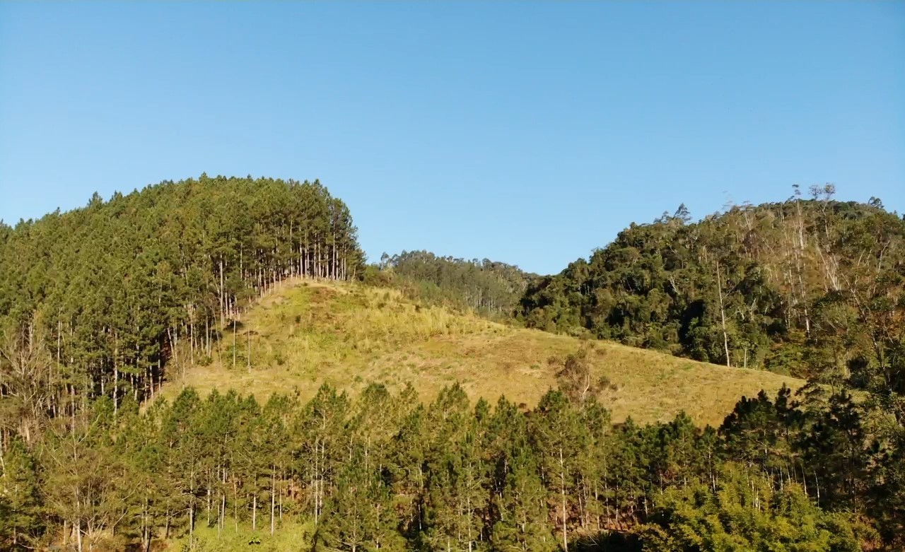 Sítio, 13 hectares - Foto 23