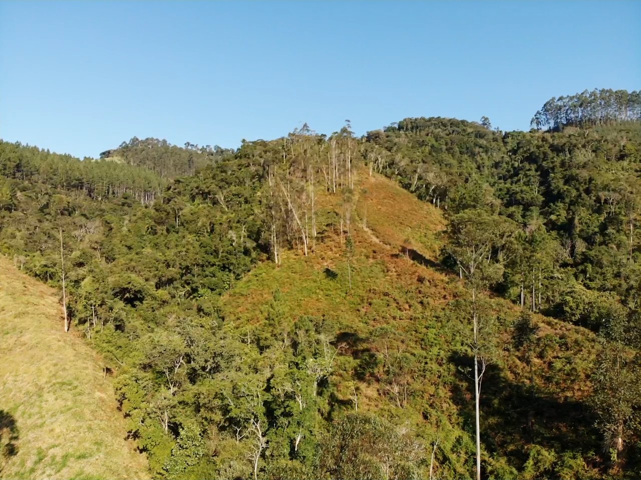 Sítio, 13 hectares - Foto 26